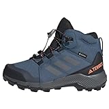 adidas Jungen Unisex Kinder Terrex Gore-TEX Hiking Shoes-Mid (Non-Football), Wonder Steel/Grey Three/Impact orange, 27 EU
